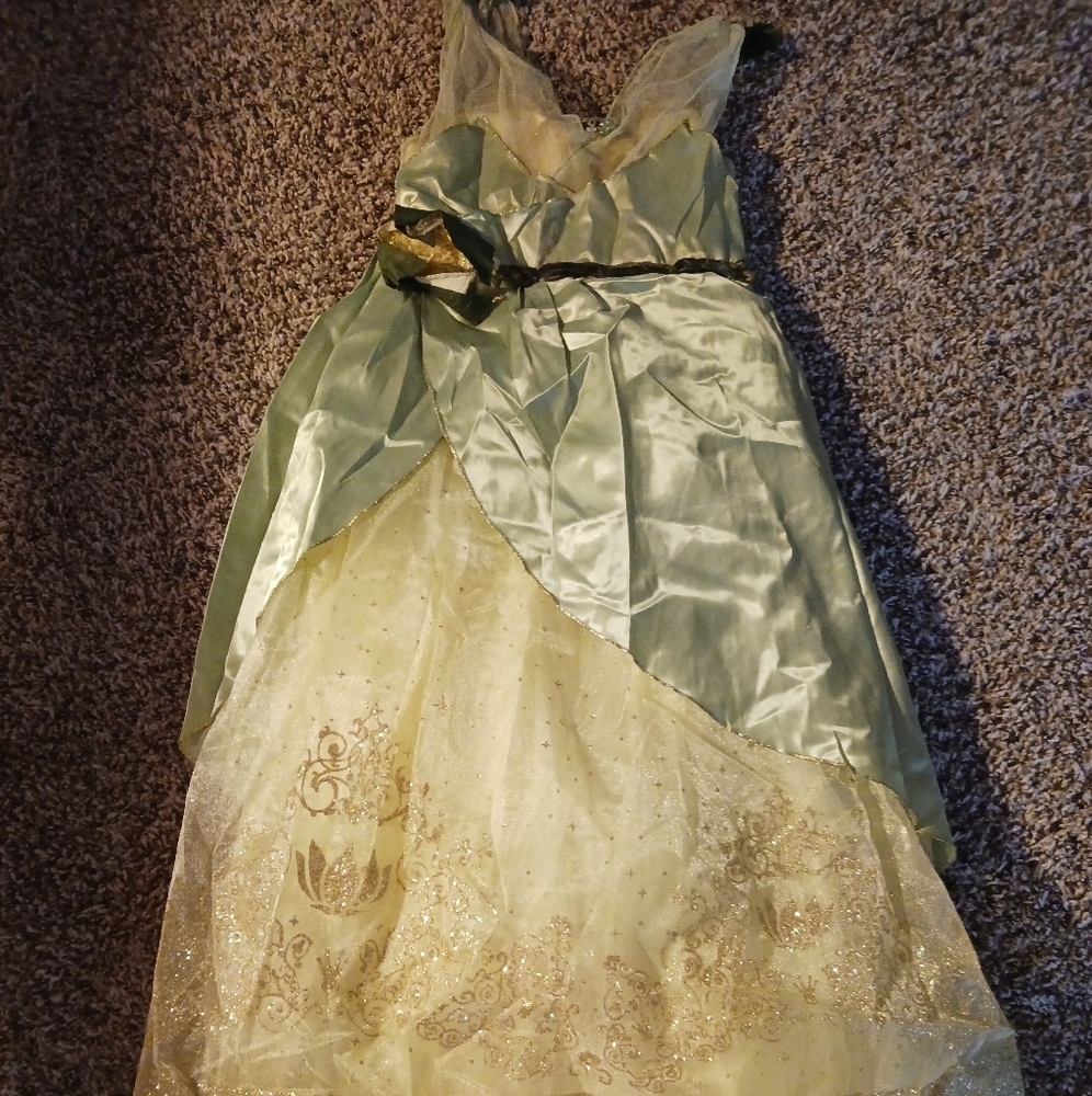 Disney Classic Princess Tiana costume Princess and the frog size Large